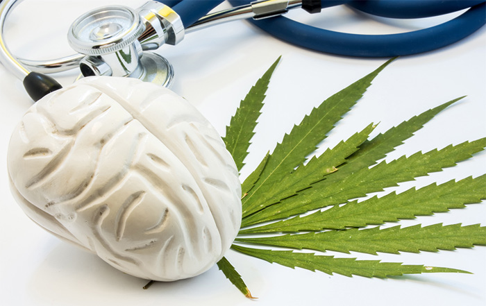 Impacto del consumo intensivo de cannabis en la función cerebral