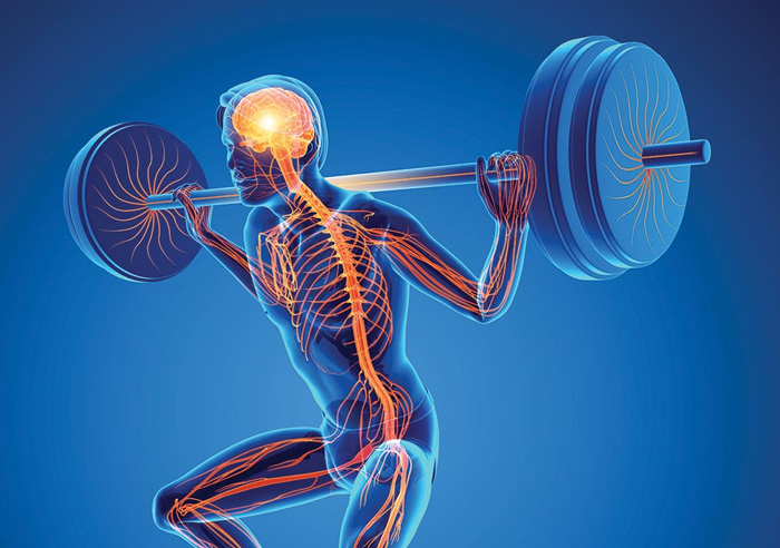 FITNESS MENTAL