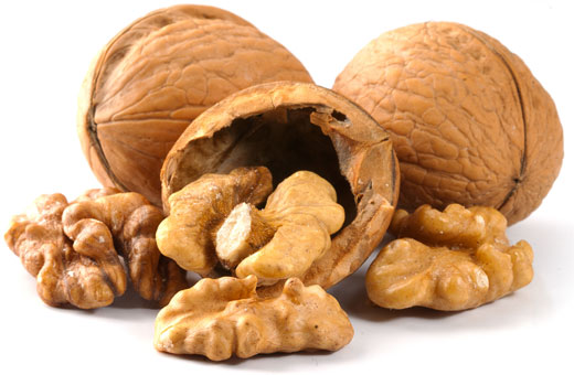 NUECES